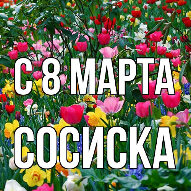 Картинка C 8 МАРТА, Сосиска