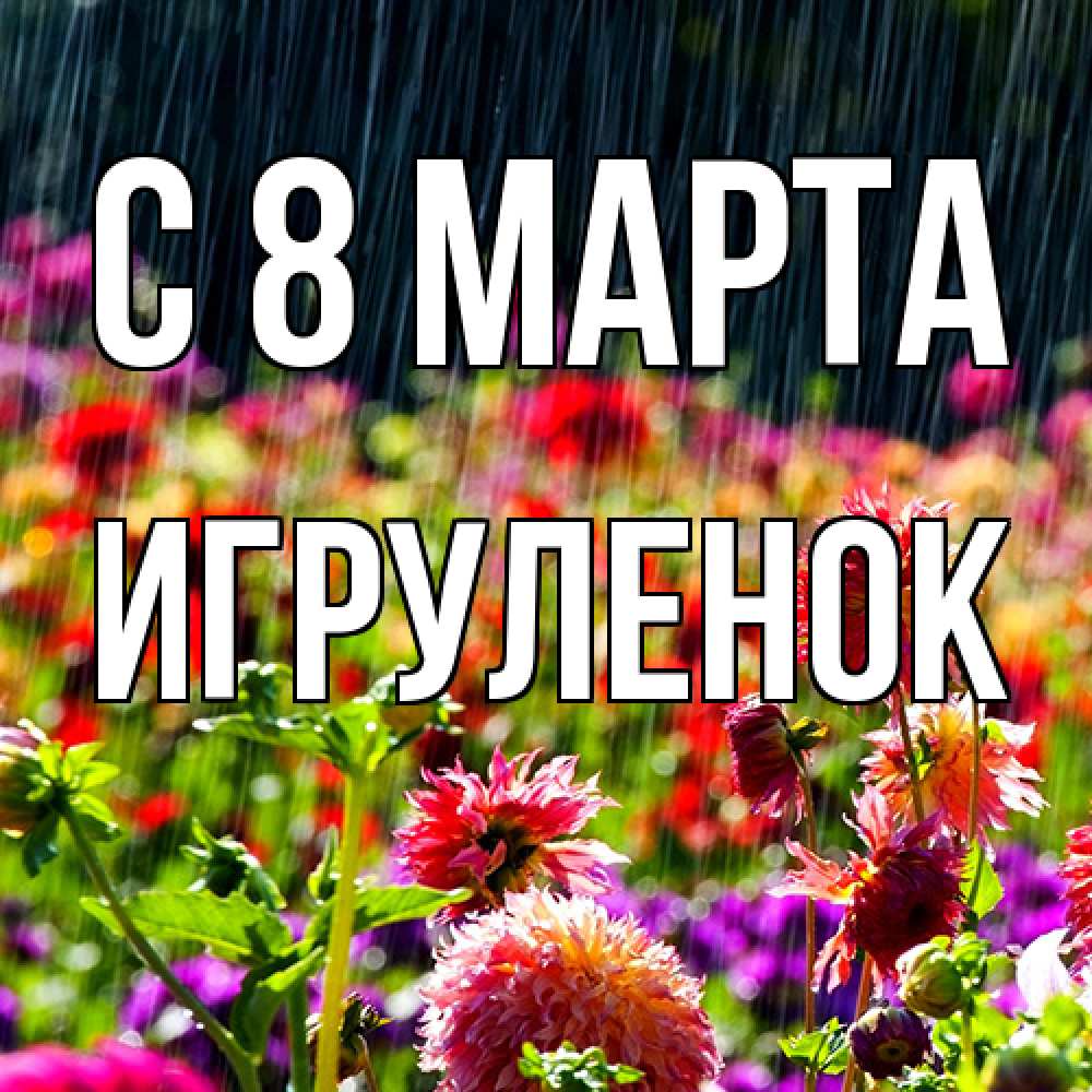 Открытка на каждый день с именем, Игpуленок C 8 МАРТА цветы под дождиком к международному женскому дню Прикольная открытка с пожеланием онлайн скачать бесплатно 