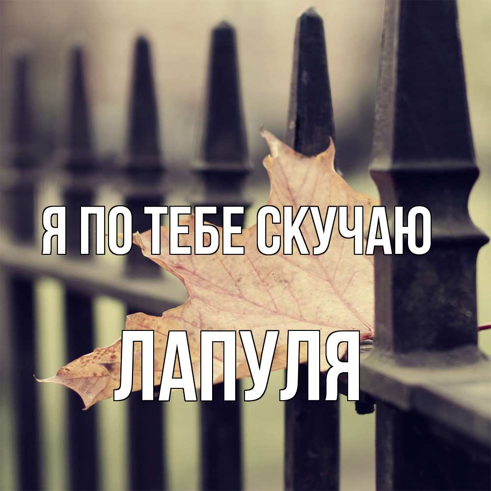 Открытка на каждый день с именем, Лапуля Я по тебе скучаю очень скучно Прикольная открытка с пожеланием онлайн скачать бесплатно 