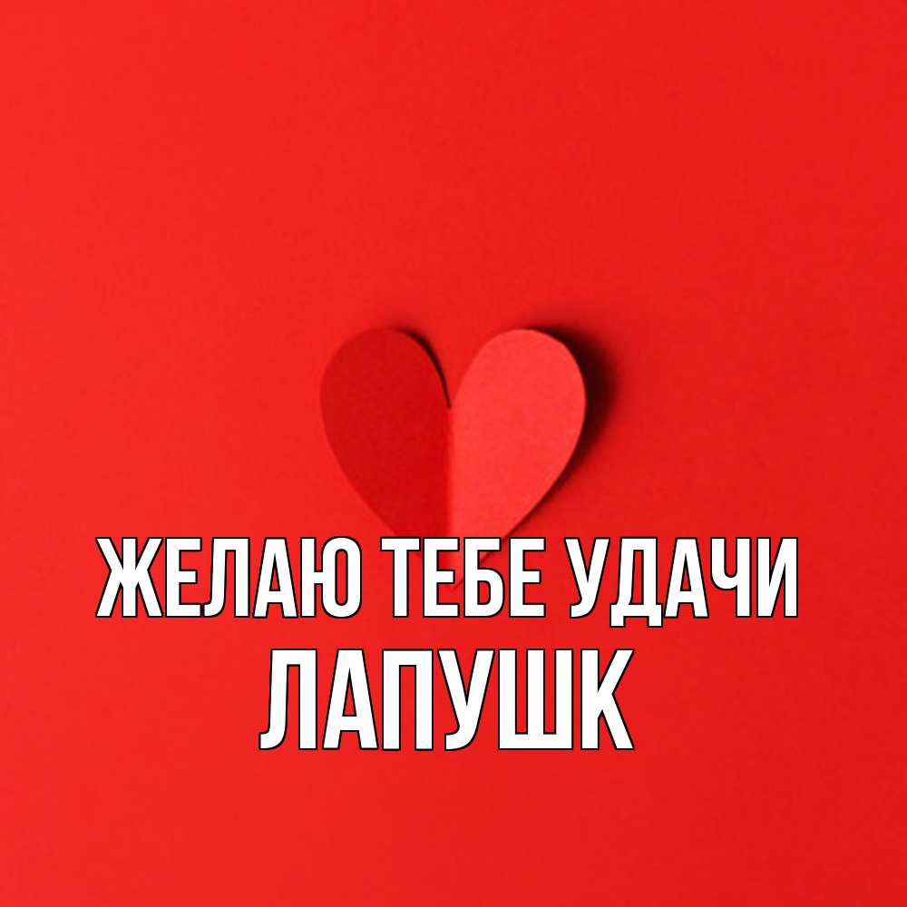 Открытка на каждый день с именем, Лапушк Желаю тебе удачи пусть повезет для любимых 1 Прикольная открытка с пожеланием онлайн скачать бесплатно 