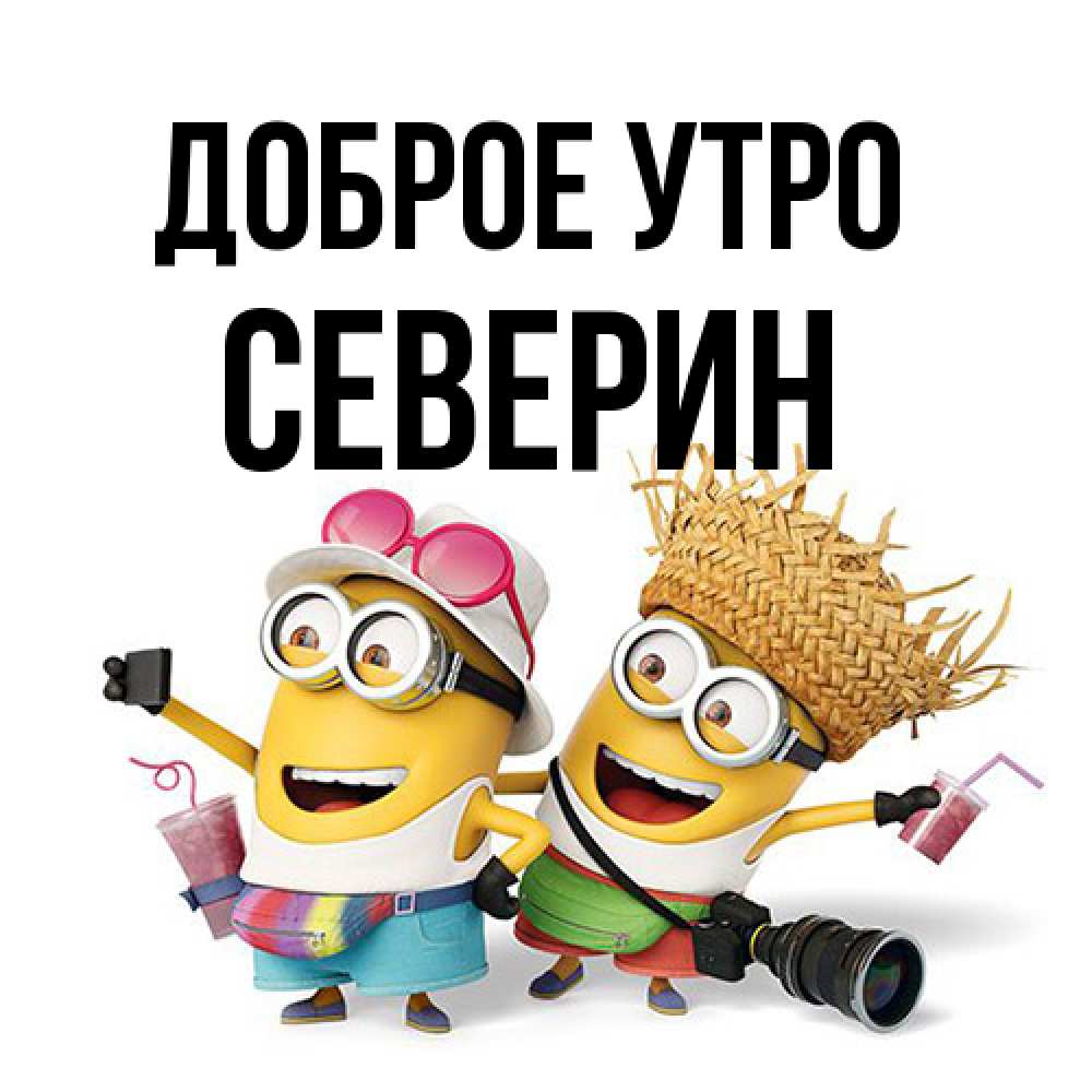 Открытка на каждый день с именем, Северин Доброе утро карнавал Прикольная открытка с пожеланием онлайн скачать бесплатно 