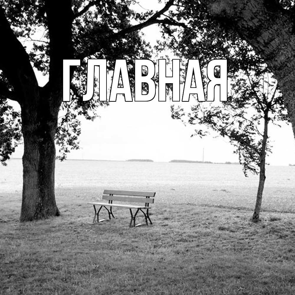 Открытка на каждый день с именем, настя Главная мощное дерево Прикольная открытка с пожеланием онлайн скачать бесплатно 