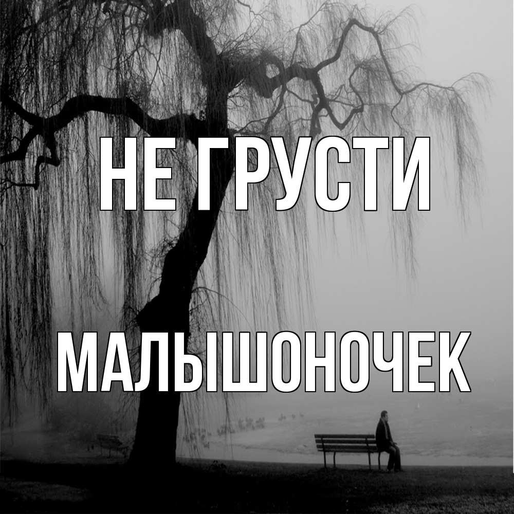 Открытка на каждый день с именем, Малышоночек Не грусти висящие ветки дерева и лавочка под деревом Прикольная открытка с пожеланием онлайн скачать бесплатно 