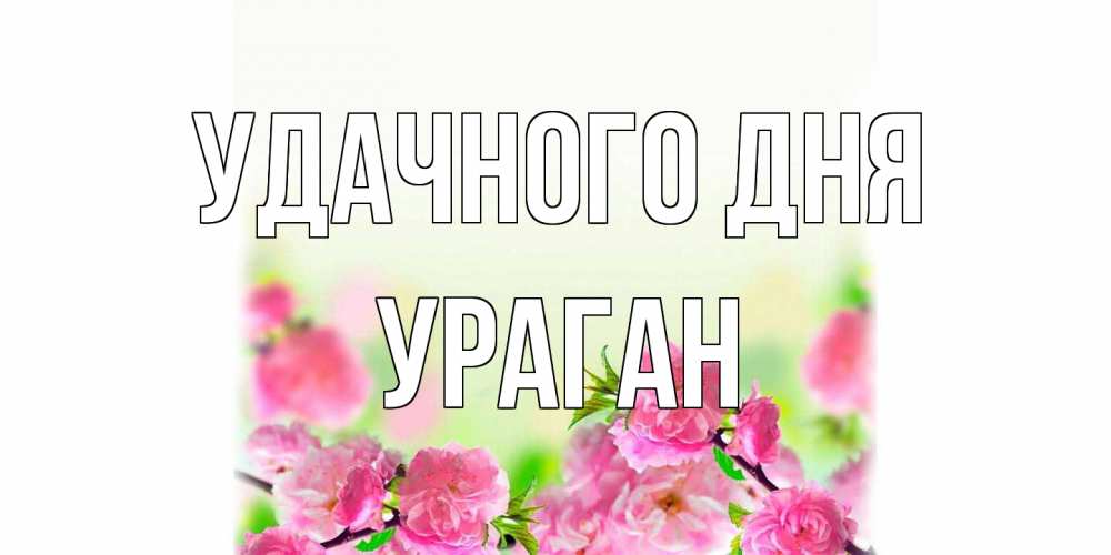 Открытка на каждый день с именем, Ураган Удачного дня цветы Прикольная открытка с пожеланием онлайн скачать бесплатно 