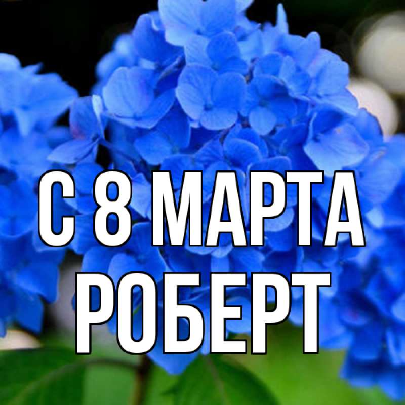 Картинка C 8 МАРТА, Роберт