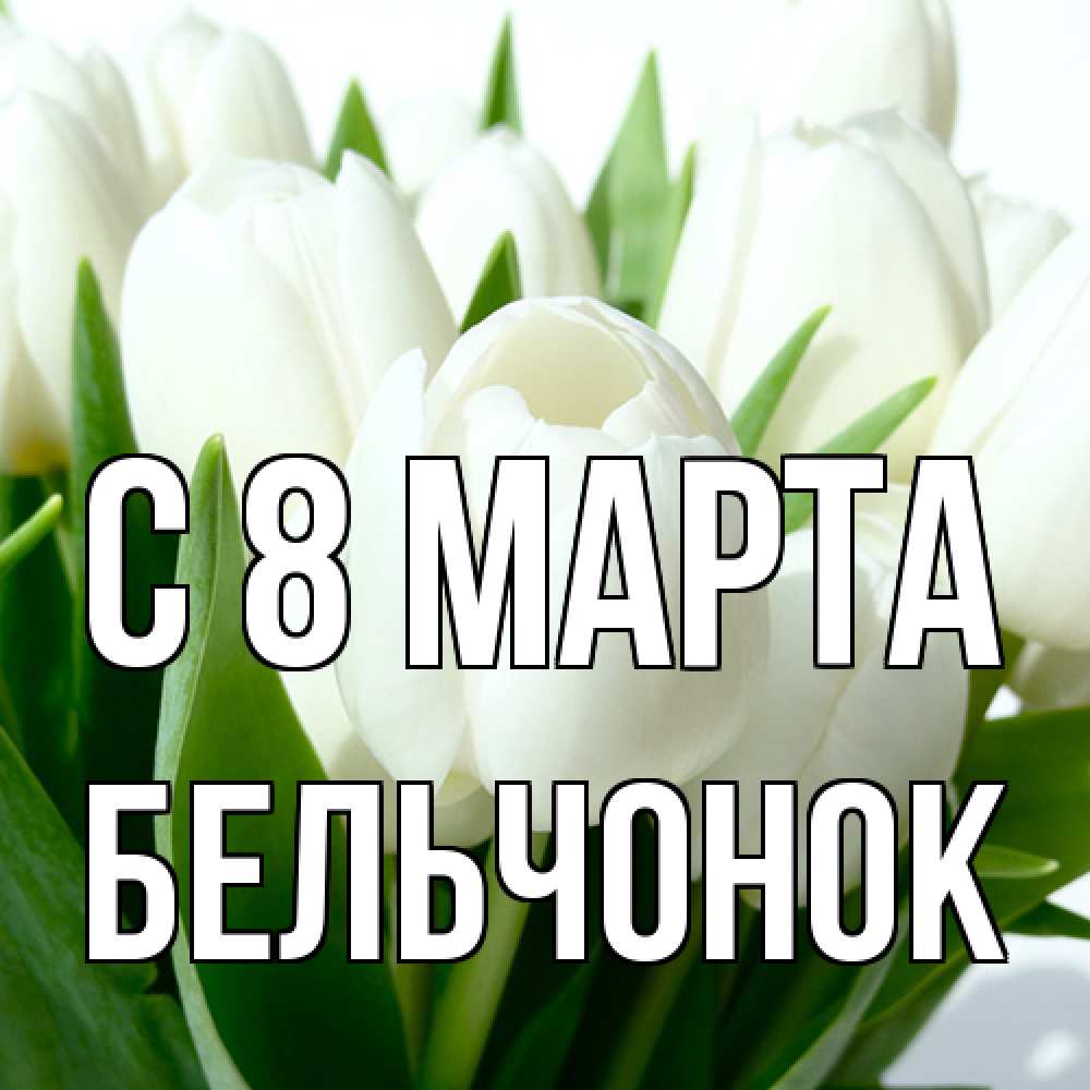 Открытка на каждый день с именем, бельчонок C 8 МАРТА цветы Прикольная открытка с пожеланием онлайн скачать бесплатно 