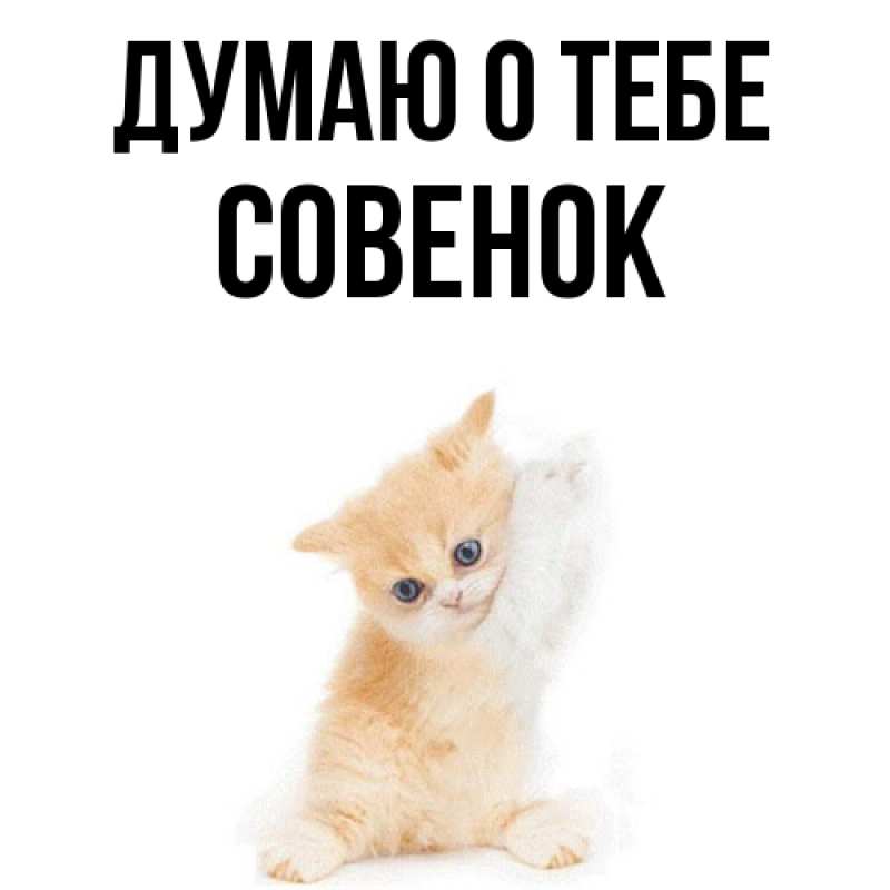 Картинка Думаю о тебе, совенок