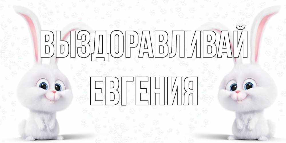 Открытка на каждый день с именем, Евгения Выздоравливай не болей с зайцем Прикольная открытка с пожеланием онлайн скачать бесплатно 