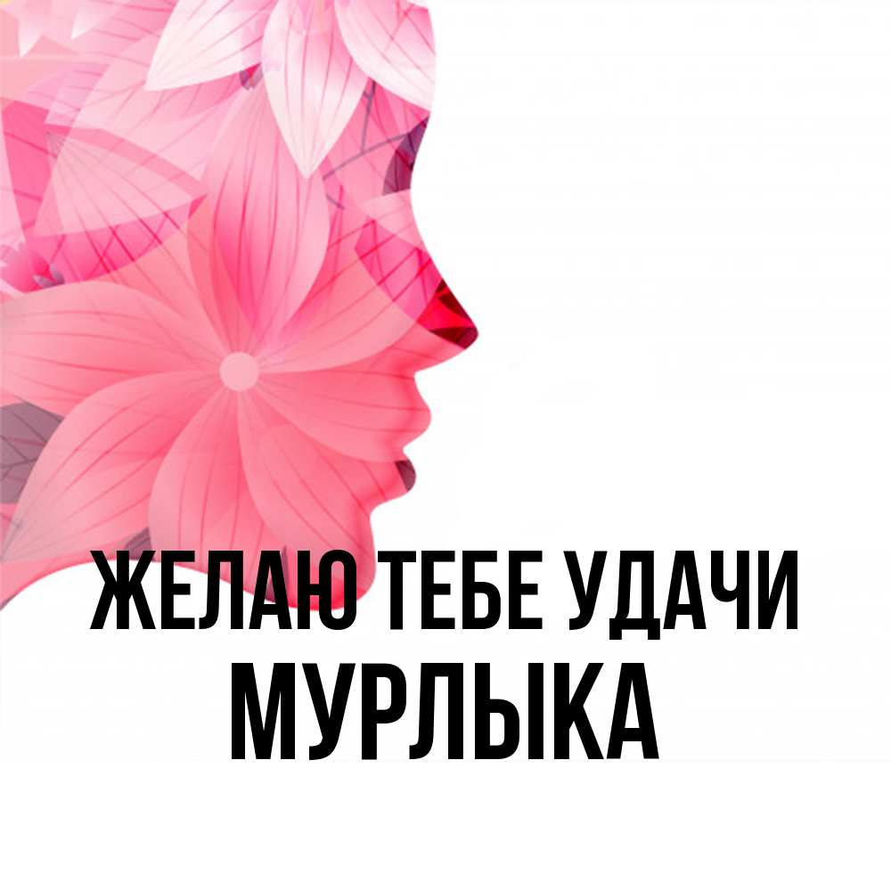Открытка на каждый день с именем, мурлыка Желаю тебе удачи на удачу Прикольная открытка с пожеланием онлайн скачать бесплатно 