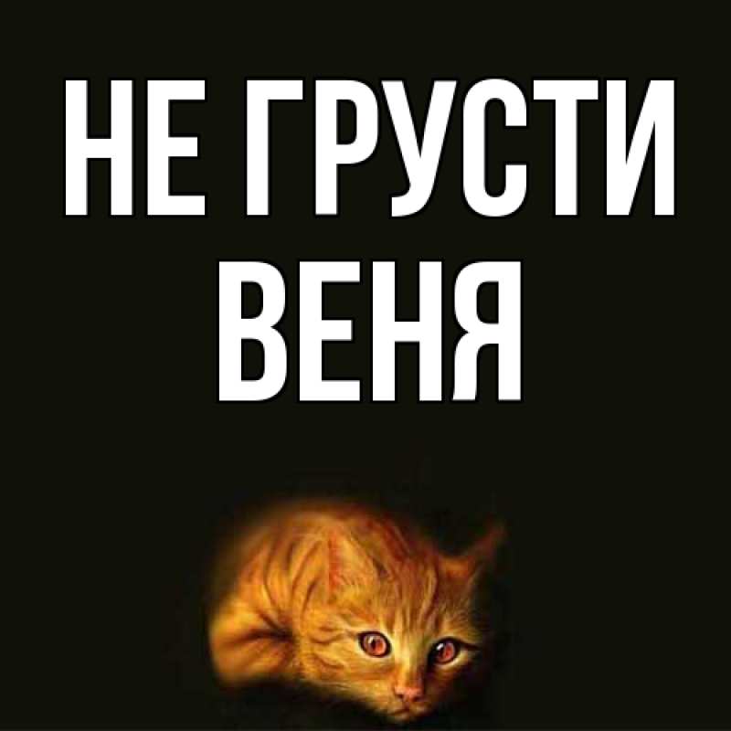 Картинка Не грусти, Веня