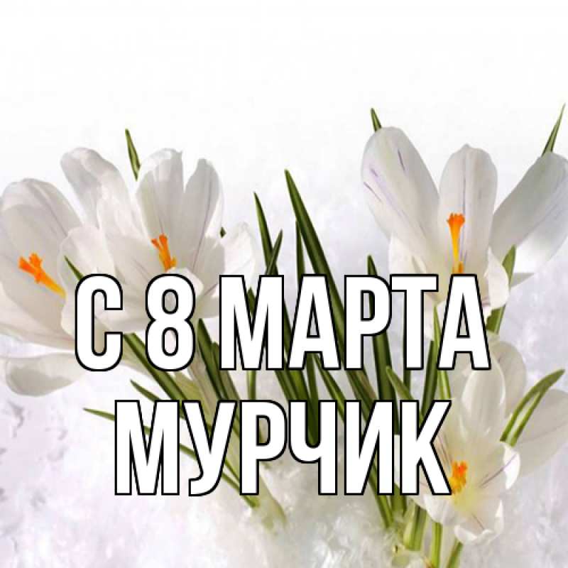 Картинка C 8 МАРТА, Мурчик