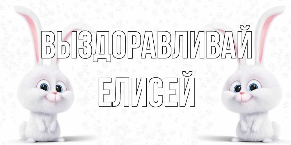 Открытка на каждый день с именем, Елисей Выздоравливай не болей с зайцем Прикольная открытка с пожеланием онлайн скачать бесплатно 