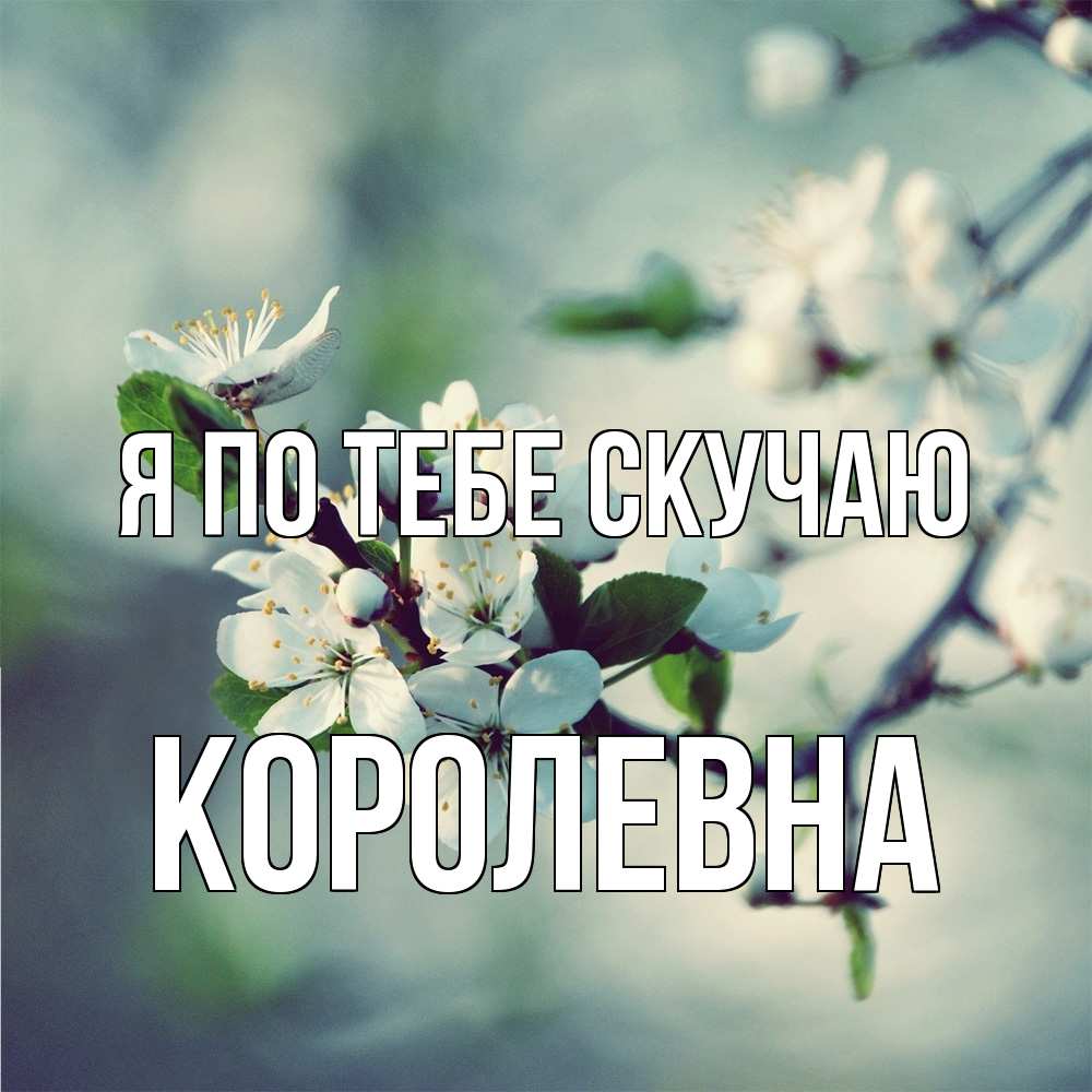 Открытка на каждый день с именем, Королевна Я по тебе скучаю весна Прикольная открытка с пожеланием онлайн скачать бесплатно 