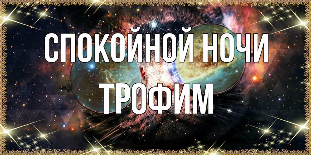 Открытка на каждый день с именем, Трофим Спокойной ночи прекрасная ночь Прикольная открытка с пожеланием онлайн скачать бесплатно 