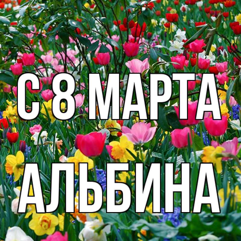 Картинка C 8 МАРТА, Альбина
