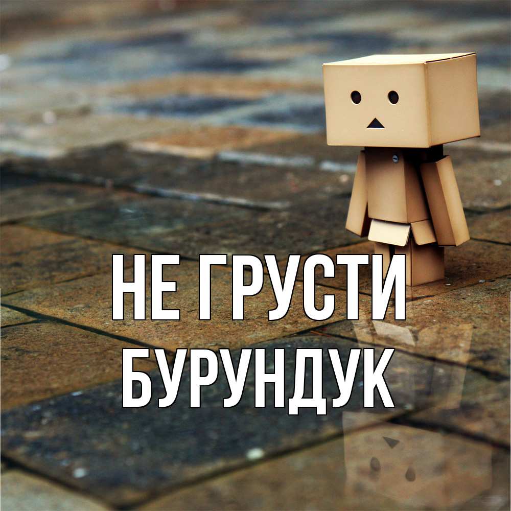 Открытка на каждый день с именем, Бурундук Не грусти Стив Прикольная открытка с пожеланием онлайн скачать бесплатно 