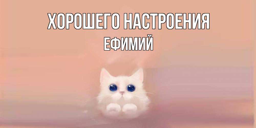 Открытка на каждый день с именем, Ефимий Хорошего настроения кошка Прикольная открытка с пожеланием онлайн скачать бесплатно 