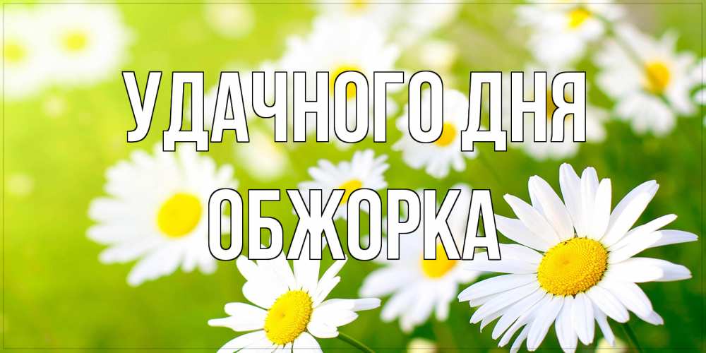 Открытка на каждый день с именем, Обжорка Удачного дня открытка с ромашками на зеленом фоне Прикольная открытка с пожеланием онлайн скачать бесплатно 