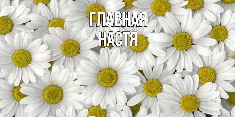 Картинка  с именем , настя