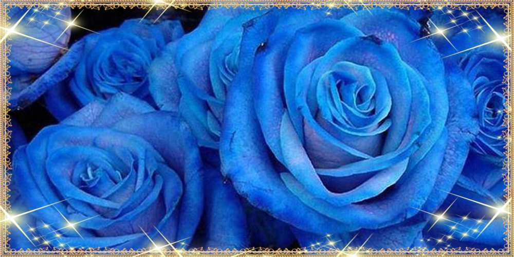 Открытка на каждый день с именем, Орхидеюшка C 8 МАРТА как поздравить женщину на 8 марта. Конечно же нужно подарить ей открытку с нашего сайта Прикольная открытка с пожеланием онлайн скачать бесплатно 