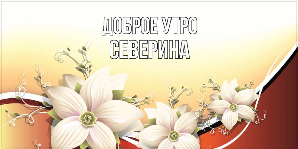 Открытка на каждый день с именем, Северина Доброе утро пожелания доброго утра Прикольная открытка с пожеланием онлайн скачать бесплатно 