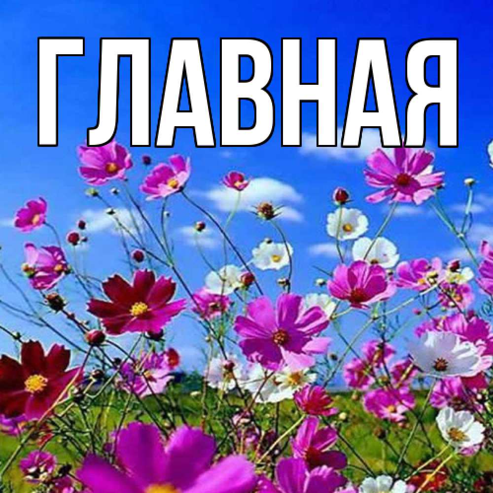 Открытка на каждый день с именем, Анна Главная цветы Прикольная открытка с пожеланием онлайн скачать бесплатно 