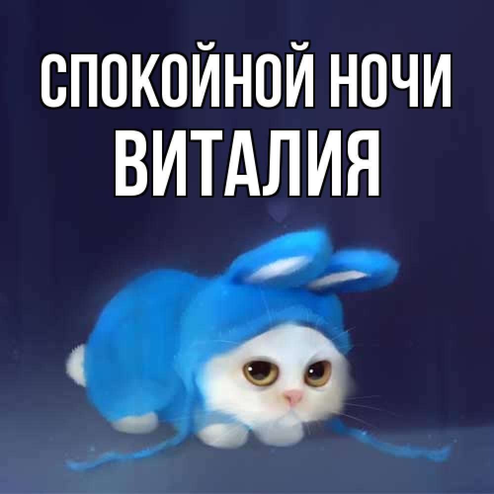 Открытка на каждый день с именем, Виталия Спокойной ночи кот в голубом костюме кролика с ушками Прикольная открытка с пожеланием онлайн скачать бесплатно 