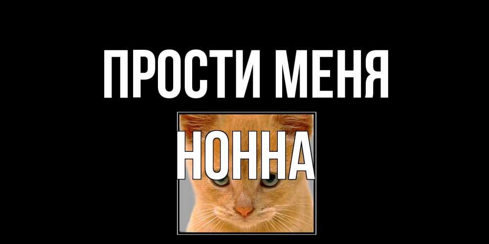 Открытка на каждый день с именем, Нонна Прости меня рыжий грустный кот просит прощения Прикольная открытка с пожеланием онлайн скачать бесплатно 
