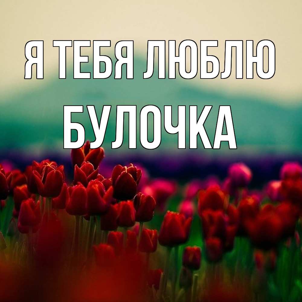 Открытка на каждый день с именем, булочка Я тебя люблю тюльпаны 4 Прикольная открытка с пожеланием онлайн скачать бесплатно 