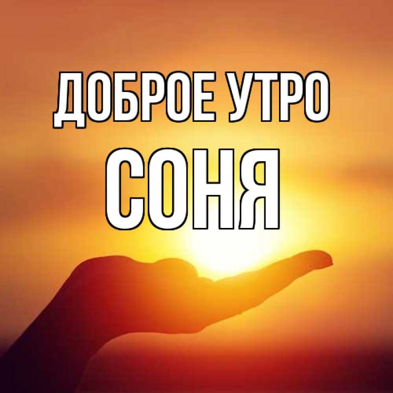 Картинка Доброе утро, Соня