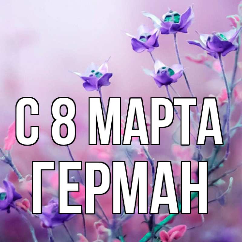 Картинка C 8 МАРТА, Герман