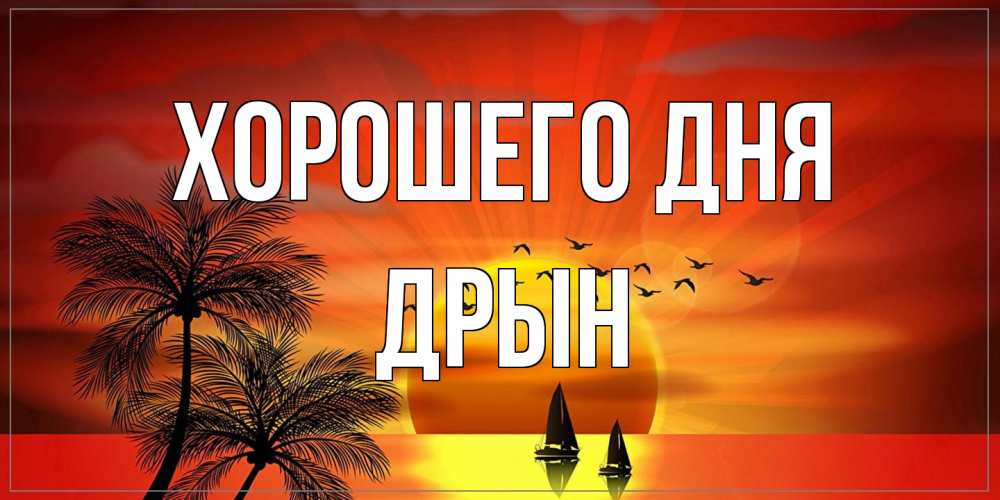 Открытка на каждый день с именем, Дрын Хорошего дня открытки с пожеланиями хорошего дня Прикольная открытка с пожеланием онлайн скачать бесплатно 