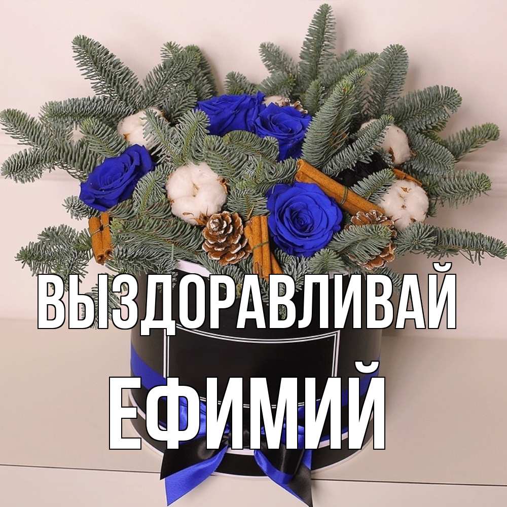 Открытка на каждый день с именем, Ефимий Выздоравливай короче кто то загрузил эти шишки Прикольная открытка с пожеланием онлайн скачать бесплатно 