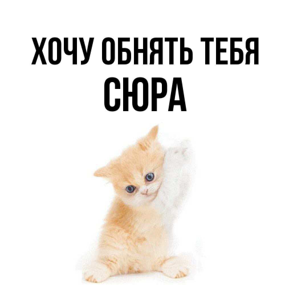 Открытка на каждый день с именем, СЮРА Хочу обнять тебя я хочу очень скорее обнимаешек Прикольная открытка с пожеланием онлайн скачать бесплатно 