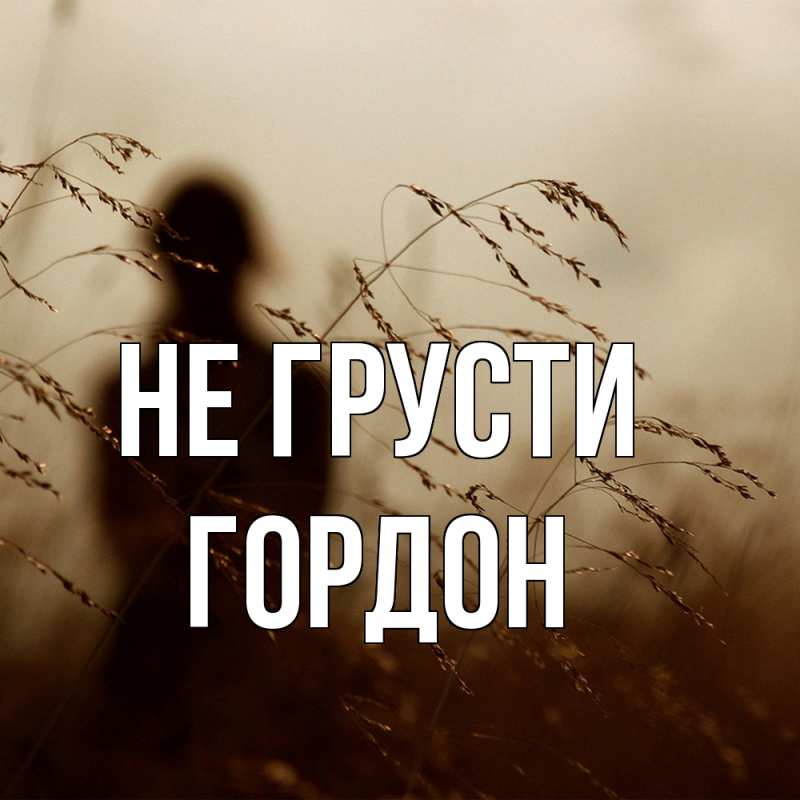 Картинка Не грусти, Гордон