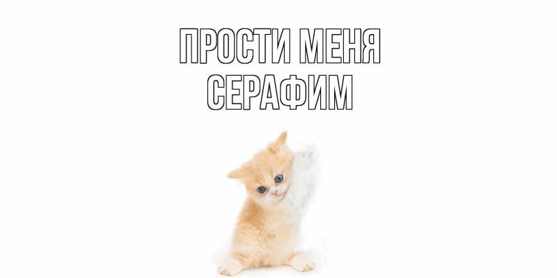 Картинка Прости меня, Серафим