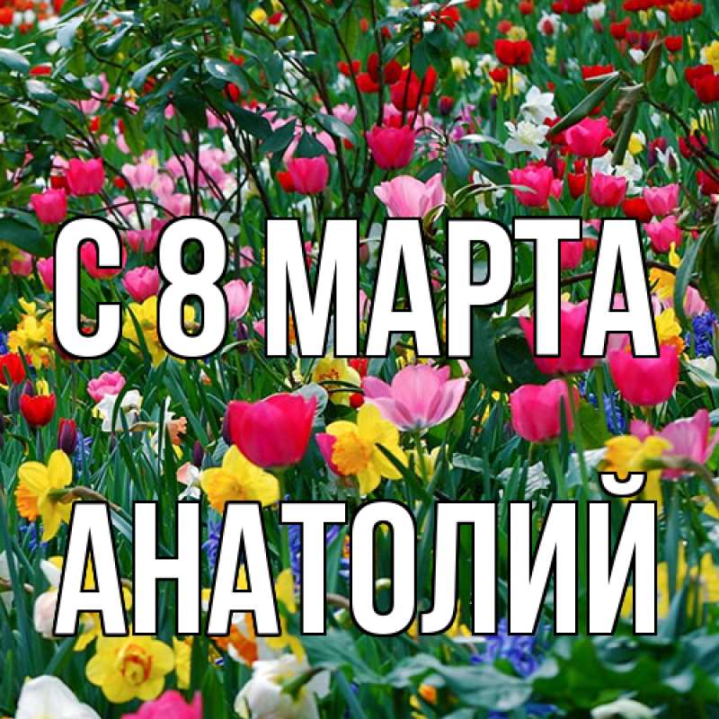 Картинка C 8 МАРТА, Анатолий