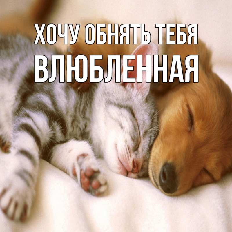 Картинка Хочу обнять тебя, Влюбленная