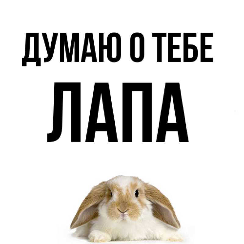 Картинка Думаю о тебе, Лапа