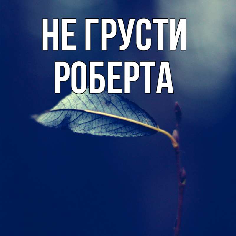 Картинка Не грусти, Роберта
