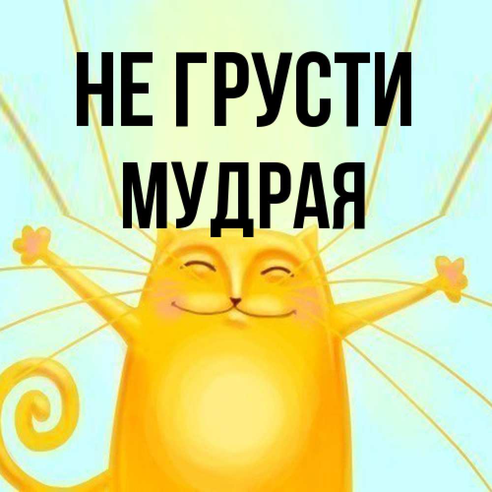 Открытка на каждый день с именем, Мудpая Не грусти обнимашки усатые Прикольная открытка с пожеланием онлайн скачать бесплатно 