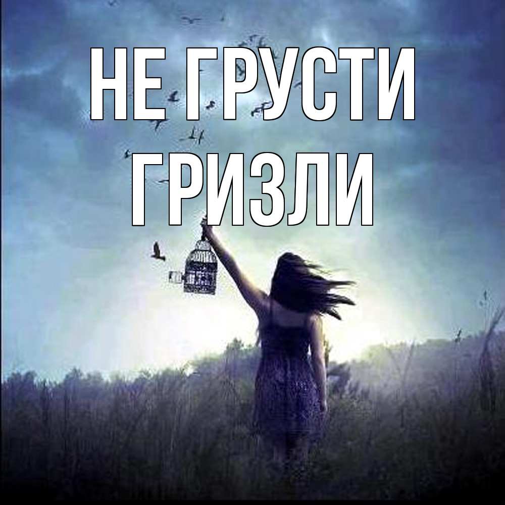 Открытка на каждый день с именем, Гризли Не грусти на волю Прикольная открытка с пожеланием онлайн скачать бесплатно 