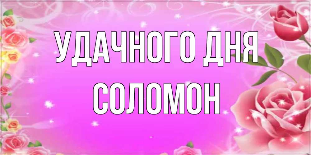 Открытка на каждый день с именем, Соломон Удачного дня открытка с розами Прикольная открытка с пожеланием онлайн скачать бесплатно 