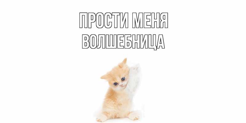 Картинка Прости меня, волшебница