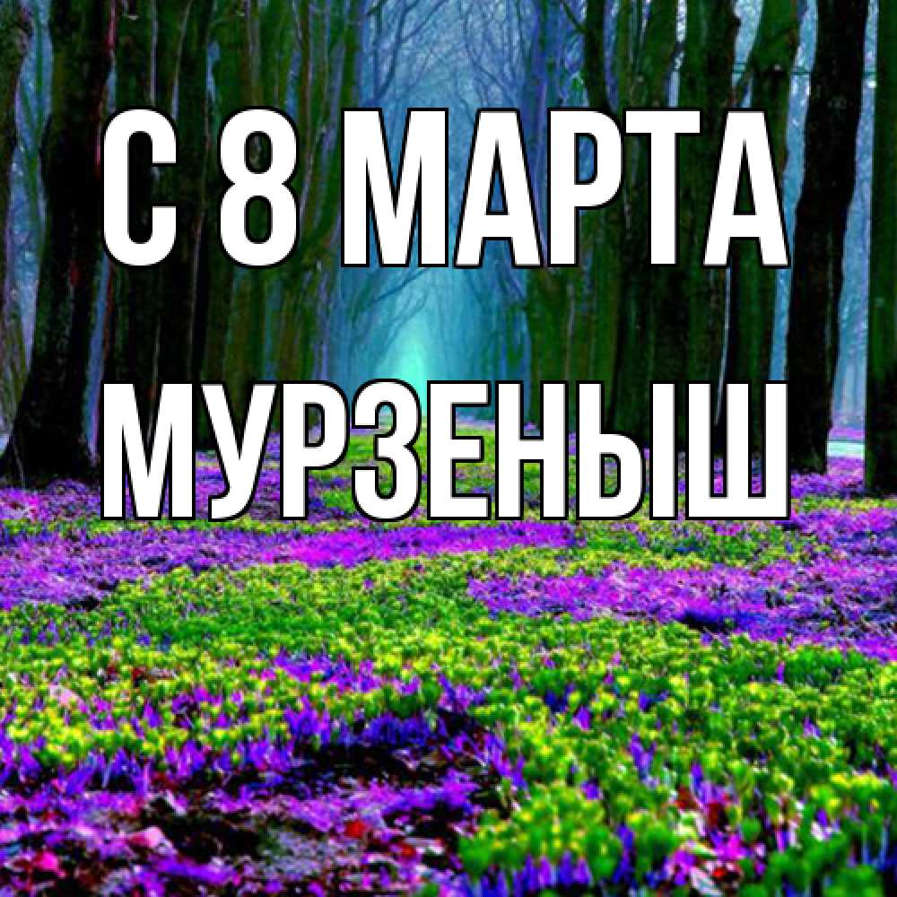 Открытка на каждый день с именем, мурзеныш C 8 МАРТА фиолетовые цветы в лесу 1 Прикольная открытка с пожеланием онлайн скачать бесплатно 