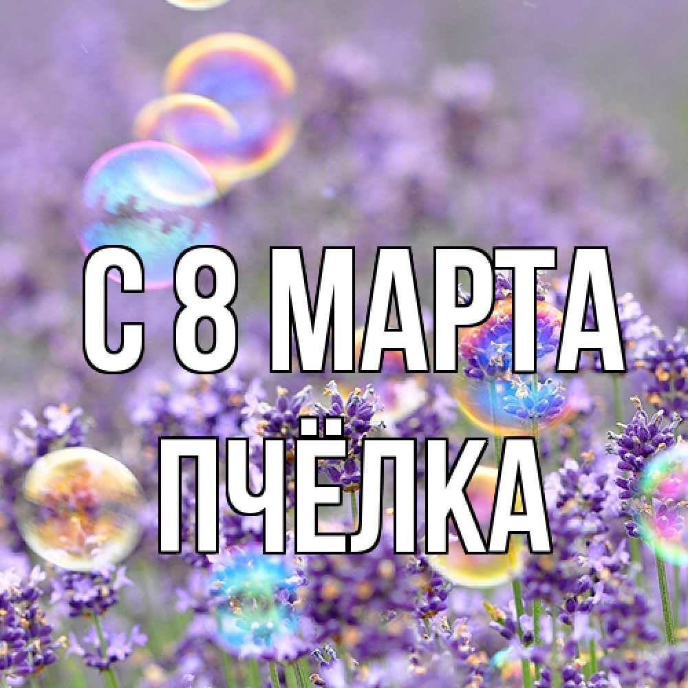 Открытка на каждый день с именем, Пчёлка C 8 МАРТА цветы Прикольная открытка с пожеланием онлайн скачать бесплатно 