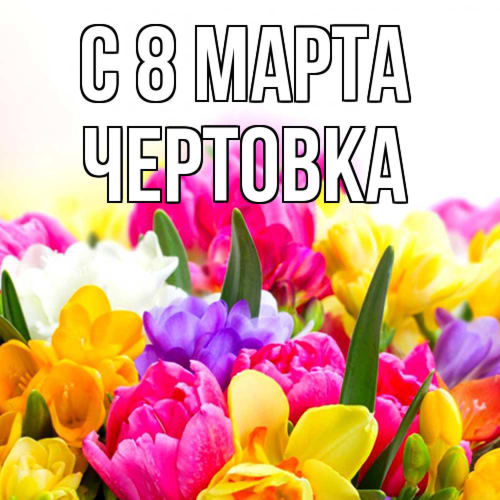 Открытка на каждый день с именем, Чертовка C 8 МАРТА тюльпаны Прикольная открытка с пожеланием онлайн скачать бесплатно 