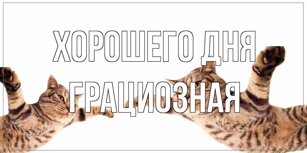 Открытка на каждый день с именем, грациозная Хорошего дня хорошего дня Прикольная открытка с пожеланием онлайн скачать бесплатно 