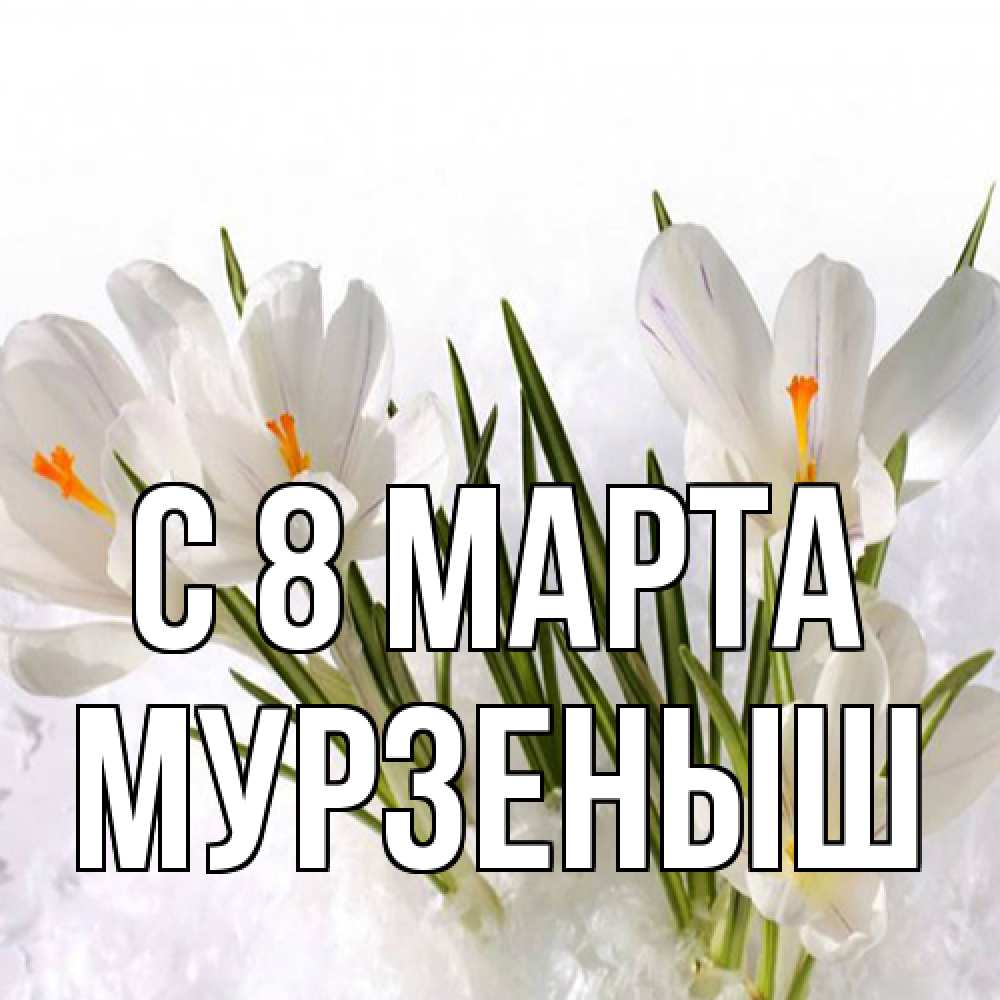Открытка на каждый день с именем, мурзеныш C 8 МАРТА под снегом Прикольная открытка с пожеланием онлайн скачать бесплатно 