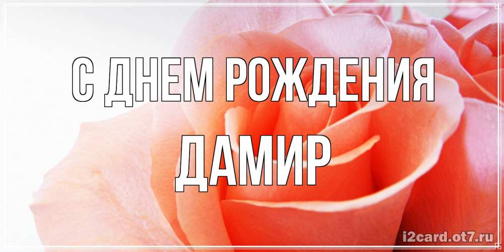 Открытка на каждый день с именем, Дамир С днем рождения розы для поздравления с днем рождения Прикольная открытка с пожеланием онлайн скачать бесплатно 